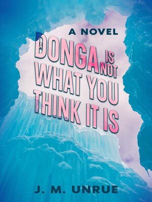cover image of A Donga Is Not What You Think It Is